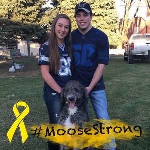 Meet your Posher, Cara